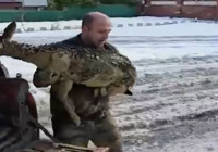 Çamura saplanan karaca için ekipler seferber oldu