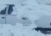 Hayvanlar aç kalmasın diye çıktığı yolda ölümden döndü