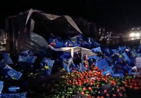 Kütahya-Eskişehir karayolunda meyve yüklü tır devrildi