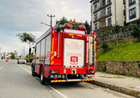 Ordu'da çam ağacı yüksek gerilim hattına devrildi