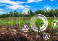 Tarımda bu yıl dijital dönüşüm merkeze alınacak