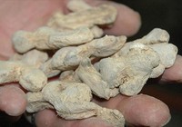 'Dalgınlığa karşı zencefil ve karabiber kokusu'