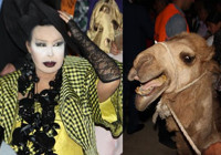 Bülent Ersoy için deve kestiler