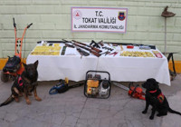 Hayvan hırsızlığı çetesi çökertildi