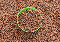 Doğu Karadeniz'den 101 ülkeye ihracat