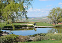 İlkbahar Japon Bahçesi'ne güzellik kattı