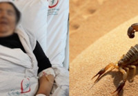 Yoğun bakımda akrep paniği...