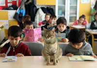 Kedi 'Tarçın' 257'nci öğrenci oldu