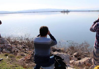 Suların yükseldiği gölün ilk konukları geldi