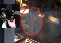 Bülent Ersoy deste deste para harcadı