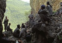 PKK'lı teröristleri uçakla taşımışlar