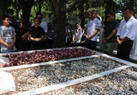 Kemal Sunal mezarı başında anıldı