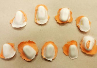 DEAŞ’li teröristlerin evinden parmak izi kalıpları çıktı