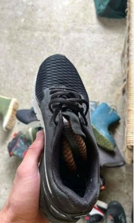 Fotoğrafa dikkatli bakınca şoku yaşadılar! Kendini öyle bir kamufle etmiş ki... - Resim: 2