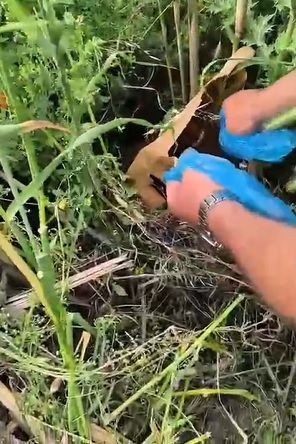 İzmir'de 'dron' ile uyuşturucu sevkiyatı! İki şüpheli tutuklandı - Resim: 3