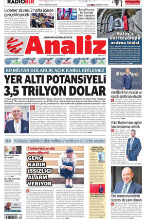 Analiz