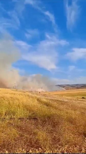 Mardin'de 120 dönüm arpa ekili arazi yandı - Resim: 3