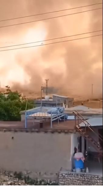 Mardin'de 120 dönüm arpa ekili arazi yandı - Resim: 1