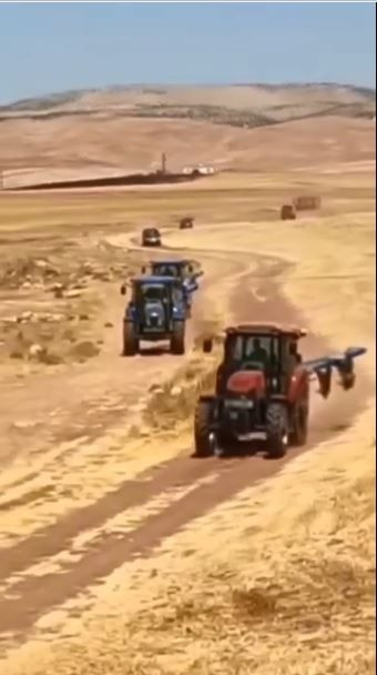 Mardin'de 120 dönüm arpa ekili arazi yandı - Resim: 2