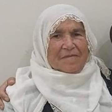 Mardin'de otomobilin çarptığı kadın öldü - Resim: 2