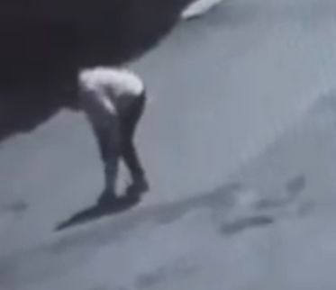 Tekirdağ'da sokak köpeğinin ısırdığı kadın yaralandı - Resim: 2