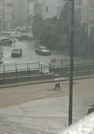 Amasya'da sağanak; cadde ve sokaklar suyla doldu - Resim: 1