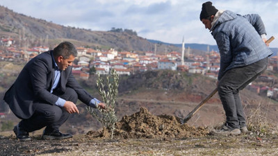 Çorum'da doğan her bebek için fidan dikilen köy