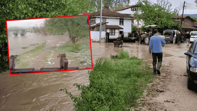 Bolu'da sağanak: Bahçe ve ahırlar sular altında kaldı