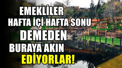 Emeklilerin İstanbul'da akın ettiği tepe! Bedavaya manzara keyfi