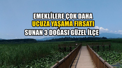 Kiralar daha uygun! Son dönemde emeklilerin ucuza yaşayabildiği 3 ilçe