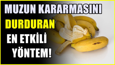 Muzları çürümekten kurtarıyor: En iyi saklama yöntemi