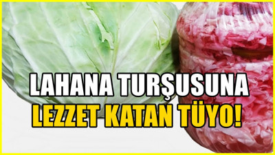 Lahana turşusu hazırlarken 54 yıllık turşucuların kullandığı yöntem! Kıtır kıtır oluyor
