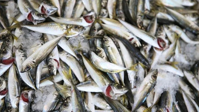 Hamsiyle en iyi uyum sağlayan salatalardan biri: Lezzetini katlıyor