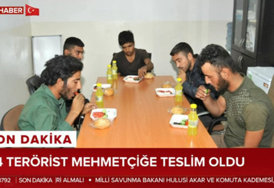 Barış Pınarı Harekatı'nda 24 terörist teslim oldu