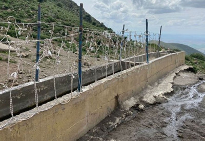 İlmekli iplerle tuzak kurup yılkı atlarını çalan 2 şüpheliyi jandarma yakaladı