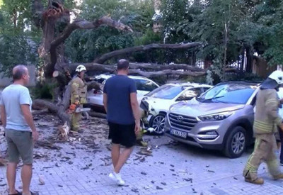 Kadıköy'de aracın üstüne devrilen ağaç 51 daireyi icralık etti