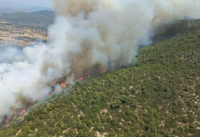 Bodrum'da orman yangını: Alevlere havadan ve karadan müdahale ediliyor