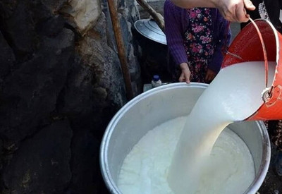İki bakanlık süt piyasasına yönelik inceleme başlattı