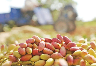 Son 8 yılın zirvesinde o ürün var: Ne petrol ne dolar ne altın!