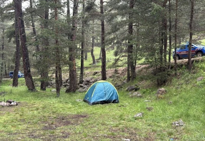 Bolu'da ormanlık alana yıldırım düştü: 1'i ağır 3 yaralı