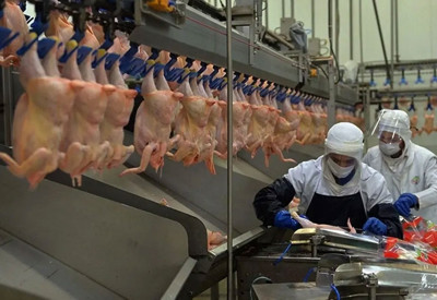 Beyaz et sektörüne operasyon! 29 kişi serbest bırakıldı
