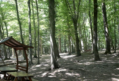 Edirne'de ormanlık alanlara giriş yasağı