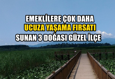 Kiralar daha uygun! Son dönemde emeklilerin ucuza yaşayabildiği 3 ilçe