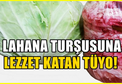 Lahana turşusu hazırlarken 54 yıllık turşucuların kullandığı yöntem! Kıtır kıtır oluyor