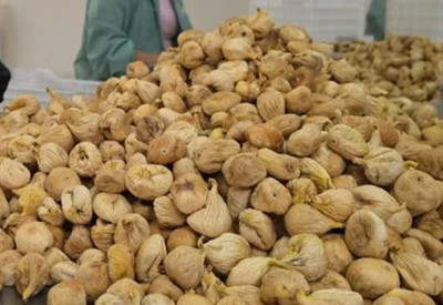 Kuru incir üreticisinin beklediği açıklama geldi: Alım fiyatları belli oldu