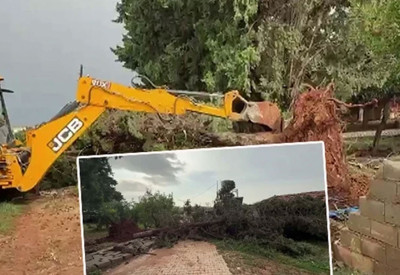 Akdeniz’de sağanak kabusu! Hatay ve Mersin’i taşkın vurdu, ağaçlar devrildi