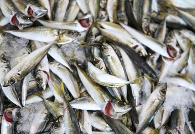 Hamsiyle en iyi uyum sağlayan salatalardan biri: Lezzetini katlıyor