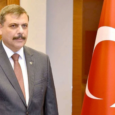 Yılbaşına kadar sokak köpeği kalmayacak! İçişleri Bakanı Mustafa Çiftçi duyurdu