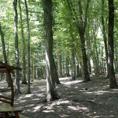 Edirne'de ormanlık alanlara giriş yasağı