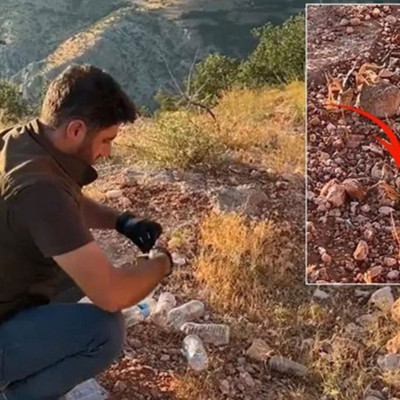 Türkiye’den kaçırırken yakalandılar! Yabancı uyruklu şahıslara 1,4 milyon TL ceza